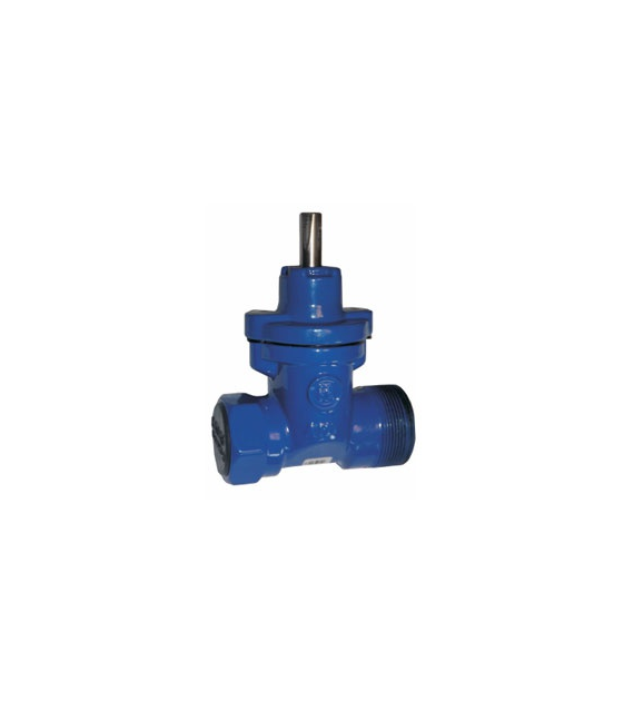 Zasuwa gwint. DN32 1 1/4 GW x 2  GZ - zawór BEFA