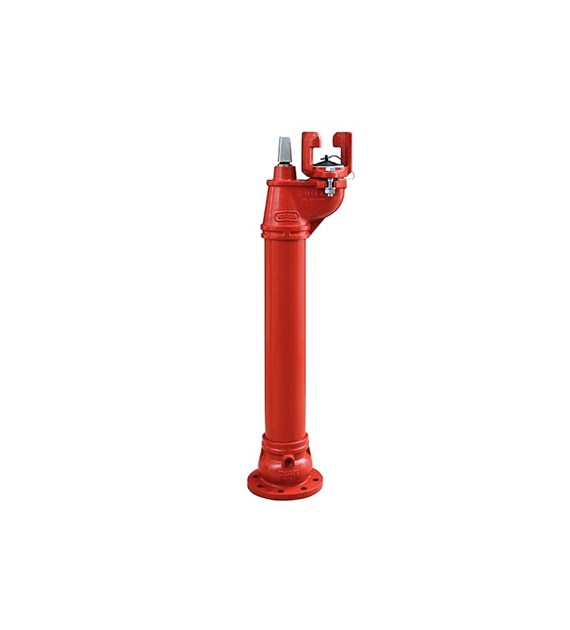 Hydrant nadziemny, malowany proszkowo DN80 NORSON 1-132-801-250-10