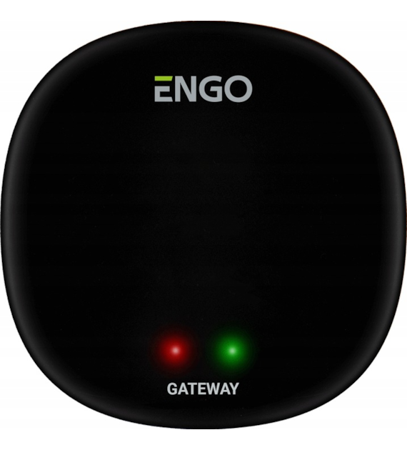 ENGO Bramka internetowa ZigBee EGATEZB